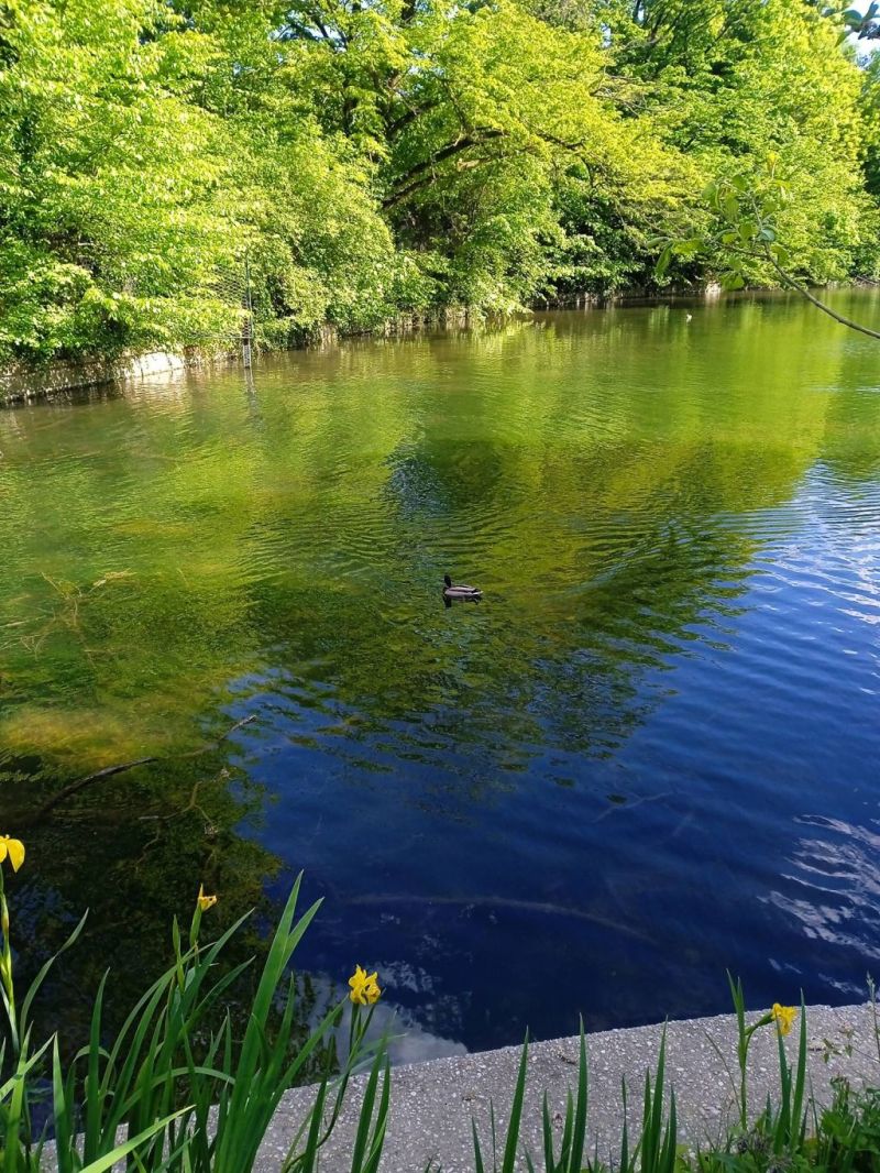 Park Maksimir, jezero B